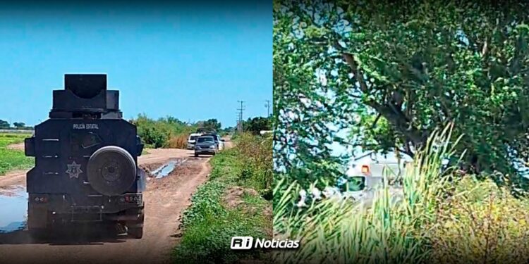 Encuentran ejecutado a hombre reportado como desaparecido en Navolato