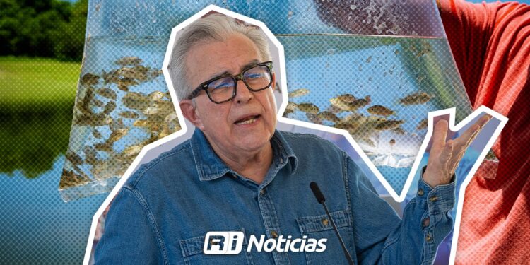 Sinaloa, líder nacional en tilapia y único estado con doble apoyo de Bienpesca: Rocha Moya
