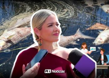 Estudian impacto ecológico en la Laguna del Camarón tras muerte de peces