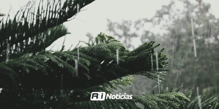 Clima: Prevén fuertes lluvias para Sinaloa este sábado 26 de julio