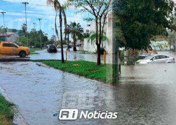 Zonas como el Toreo y Jacarandas, entre las más vulnerables: IMPLAN