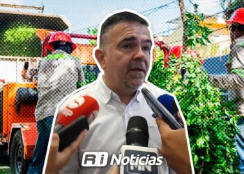 Realizan podas preventivas para evitar cortes de energía durante temporada de lluvias en Mazatlán