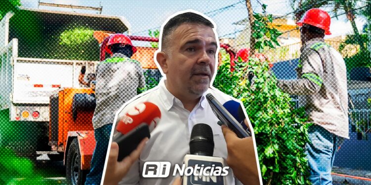 Realizan podas preventivas para evitar cortes de energía durante temporada de lluvias en Mazatlán