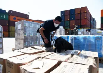 Empresarios acuerdan combatir contrabando y fraude en aduanas