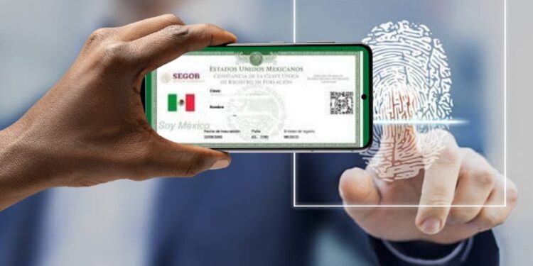 CURP biométrica no será obligatoria para trámites, pero será identificación oficial: Norma Solano | ¿Debes actualizarla?