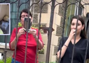 Invasores de casa de Doña Irma se fueron, pero le dejaron basura, hasta papeles de baño sucios