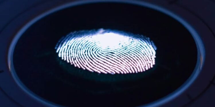 CURP biométrica, ¿a partir de cuándo será obligatoria?