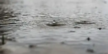 Clima hoy jueves 24 de julio en México: Seguirán las lluvias y el calor