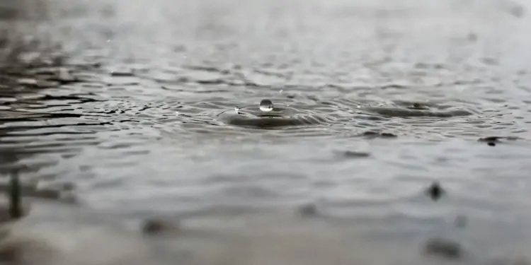 Clima hoy jueves 24 de julio en México: Seguirán las lluvias y el calor