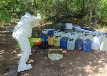 Desmantelan laboratorios clandestinos en Sinaloa; afectación a la delincuencia es de más de 150 mdp