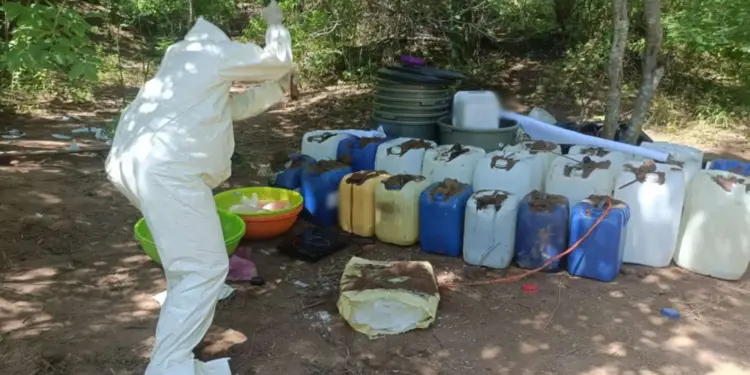 Desmantelan laboratorios clandestinos en Sinaloa; afectación a la delincuencia es de más de 150 mdp