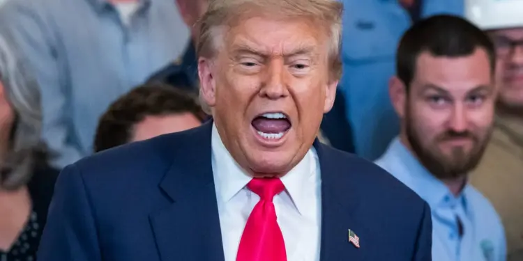 Trump sabía desde mayo que aparece en archivos del caso Epstein: The Wall Street Journal