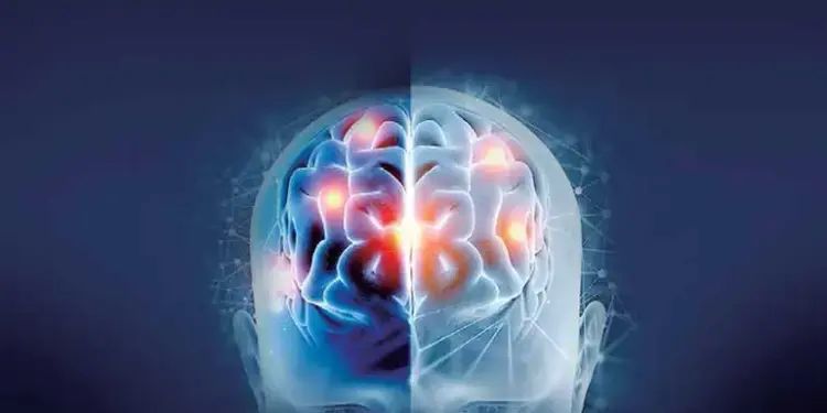 Grasa y azúcar, detrás del daño cerebral; afectan la memoria aprendizaje y emociones