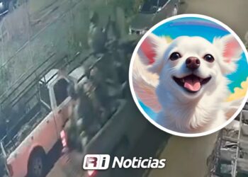 Muere perrito atropellado por patrulla del Ejército en Prados del Sur; exigen empatía y capacitación