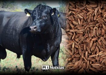 Productores locales reciben apoyos para reforzar actividad agropecuaria