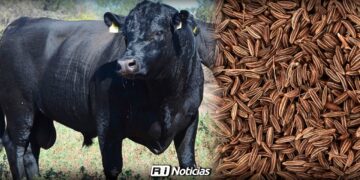 Productores locales reciben apoyos para reforzar actividad agropecuaria