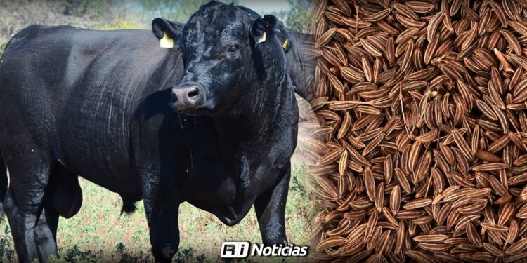 Productores locales reciben apoyos para reforzar actividad agropecuaria