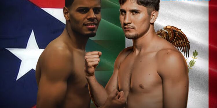 Marco Verde tendrá peligroso rival puertorriqueño para su tercera pelea profesional en la cartelera de ‘Canelo’ vs Crawford