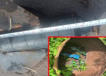 Encuentran y destruyen cuatro explosivos en Escuinapa y Rosario: operativos militares evitan tragedia en Sinaloa