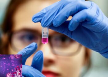 Científicos identifican un innovador método para combatir el Covid-19