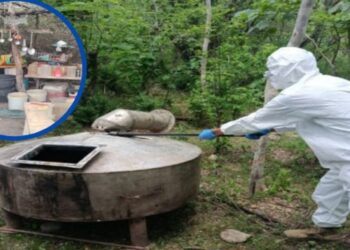 Desmantelan narcolaboratorio en Culiacán y detienen a 9 personas en Concordia, entre ellos cuatro menores