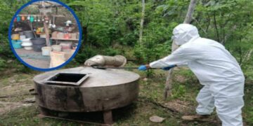Desmantelan narcolaboratorio en Culiacán y detienen a 9 personas en Concordia, entre ellos cuatro menores