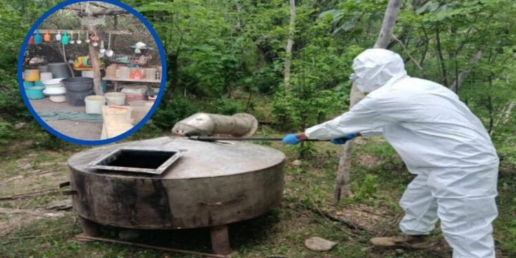 Desmantelan narcolaboratorio en Culiacán y detienen a 9 personas en Concordia, entre ellos cuatro menores