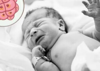 Nace el ‘bebé más viejo del mundo’; fue un embrión congelado desde 1994