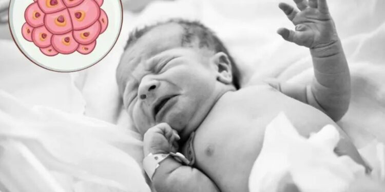 Nace el ‘bebé más viejo del mundo’; fue un embrión congelado desde 1994