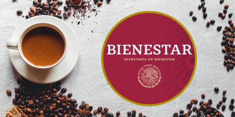 Sheinbaum ahora va por el Café del Bienestar