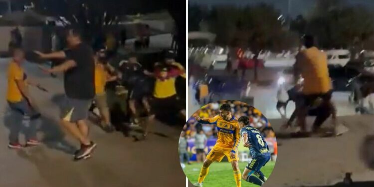 Riña y agresiones en partidos Chivas vs Juárez y Tigres vs América; Hay 2 detenidos