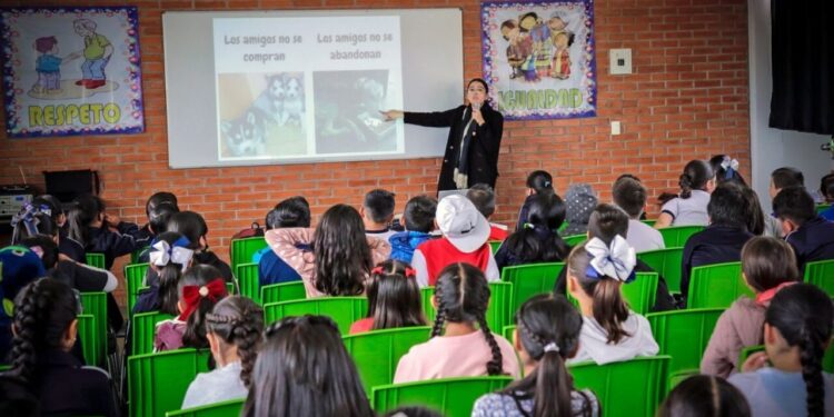 ¿Cuándo regresan a clases los alumnos de primaria?; Esto dice la SEP