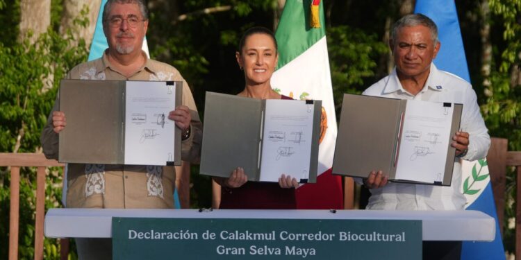 Sheinbaum celebra la firma del acuerdo con Belice y Guatemala para proteger la selva maya