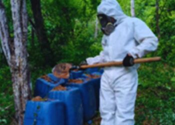 Desmantelan tres centros de almacenamiento para drogas sintéticas en Culiacán y Cosalá