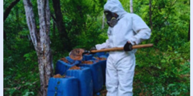 Desmantelan tres centros de almacenamiento para drogas sintéticas en Culiacán y Cosalá