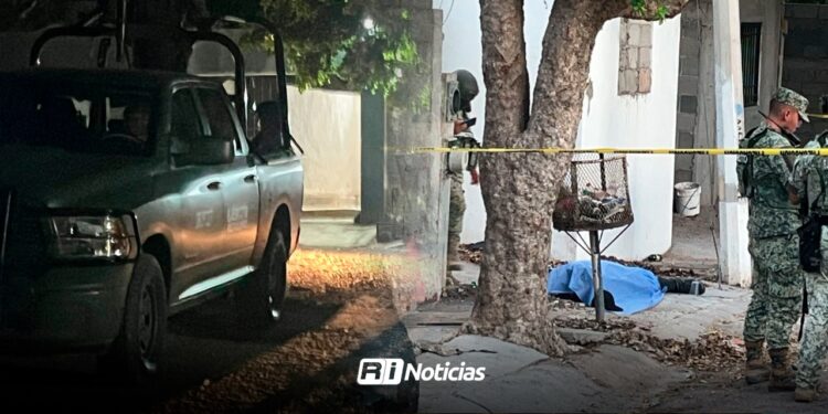 Violencia deja ocho muertos en Culiacán y Navolato en un solo día:FGE