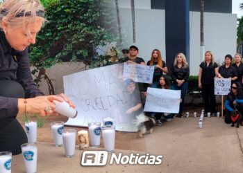 ¡No más maltrato animal!, suman 35 casos de violencia animales en Sinaloa