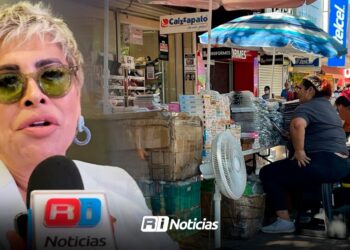 Comercios en Culiacán ven recuperación, pero aún hay retos: Lupita Zavala