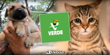 ¡Por los animales! Partido Verde exige justicia y nuevas reformas