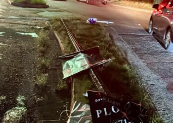 Atiende PC Culiacán caída de tres árboles, dos luminarias y un anuncio vial por los fuertes vientos