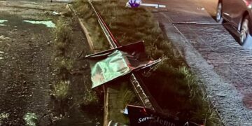 Atiende PC Culiacán caída de tres árboles, dos luminarias y un anuncio vial por los fuertes vientos