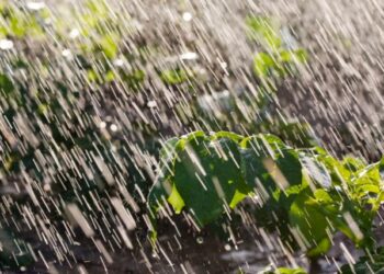 Sur de Sinaloa se alista para un miércoles con tormentas y calor arriba de 30°C