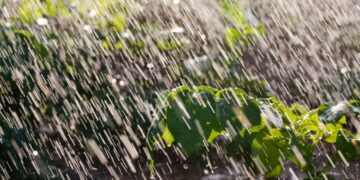 Sur de Sinaloa se alista para un miércoles con tormentas y calor arriba de 30°C