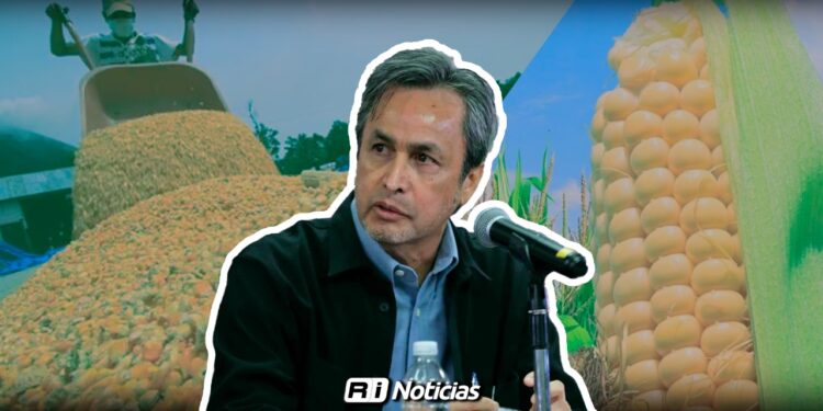 “Seguimos gestionando”: Subsecretario de Gobierno de Sinaloa en el tema del maíz