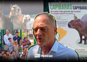 Gran Acuario Mar de Cortés ha recibido hasta 4 mil 500 visitantes diarios durante el verano