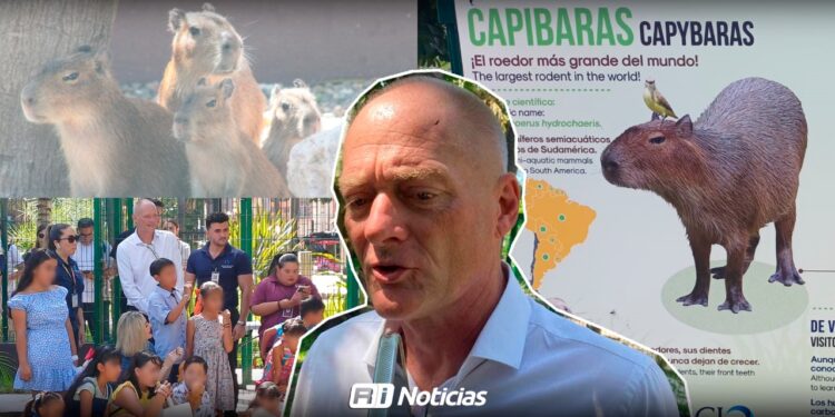 Gran Acuario Mar de Cortés ha recibido hasta 4 mil 500 visitantes diarios durante el verano