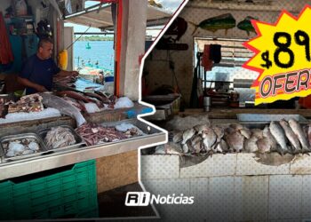 Comerciantes del Embarcadero de la Isla de la Piedra reportan mala racha este verano