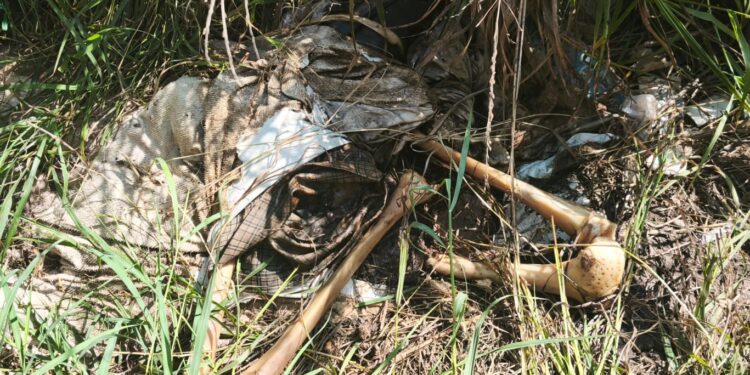 Rastreadoras localizan osamenta en el Ejido Canan, Villa Juárez Navolato