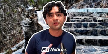 La sobrepoblación de animales en Mazatlán requiere atención, reconoce Ecología