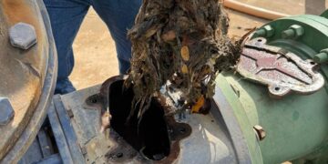Por intensas lluvias en Mazatlán, cárcamos de rebombeo “colapsan” por basura